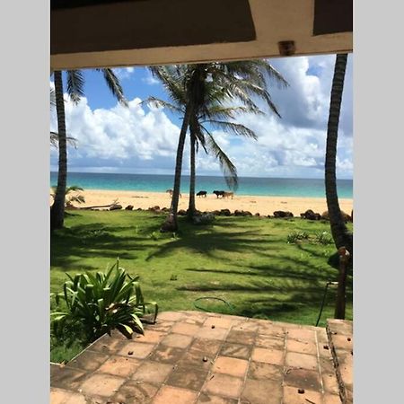 Coconut Castle At La Lodge At Long Bay South End Exteriér fotografie