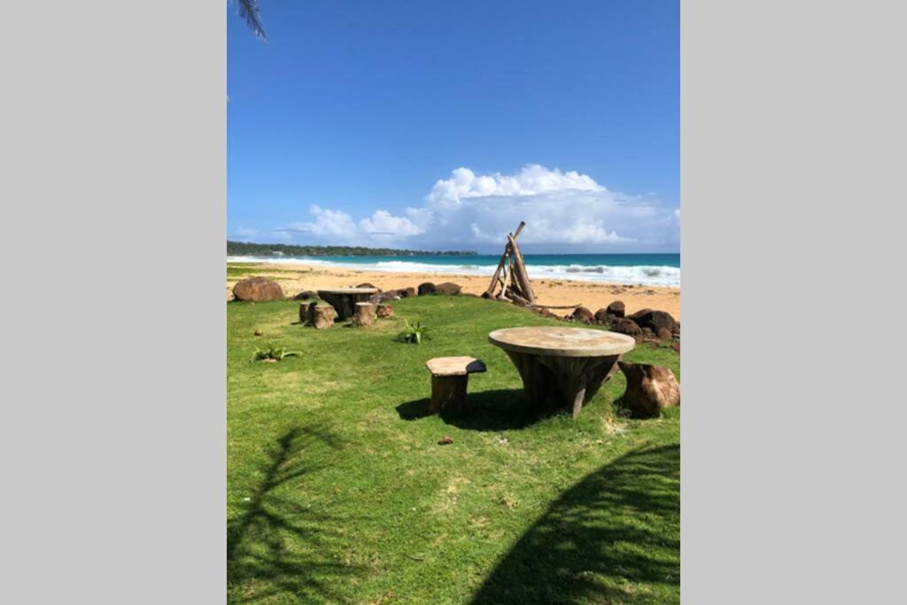 Coconut Castle At La Lodge At Long Bay South End Exteriér fotografie