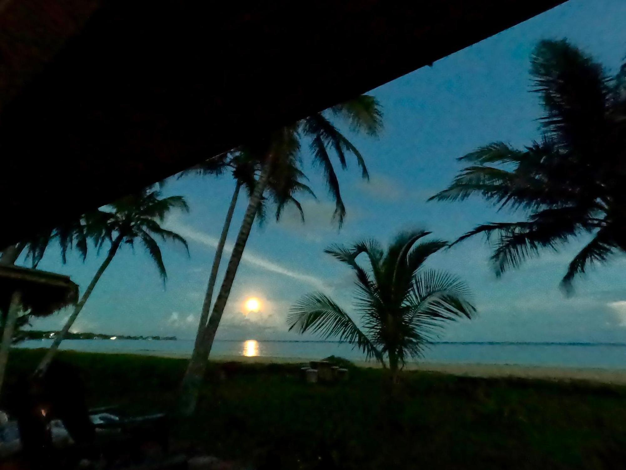 Coconut Castle At La Lodge At Long Bay South End Exteriér fotografie